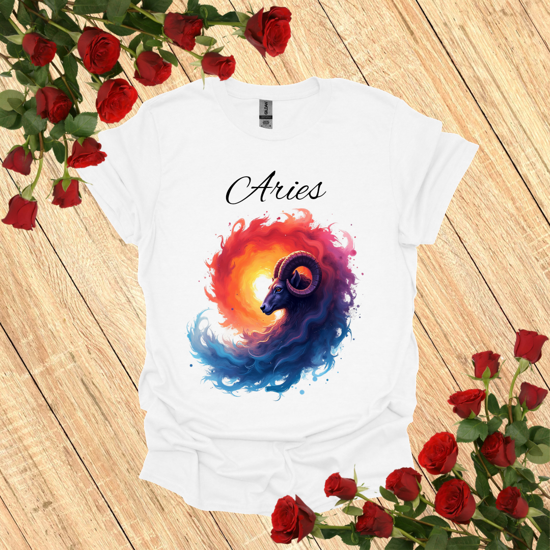 Aries Vortex T-Shirt