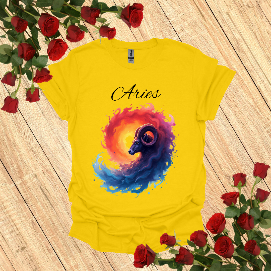 Aries Vortex T-Shirt