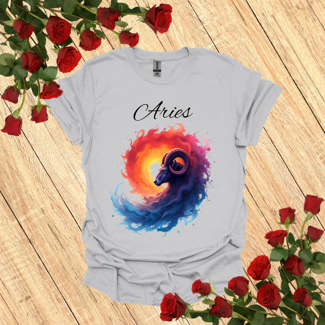 Aries Vortex T-Shirt