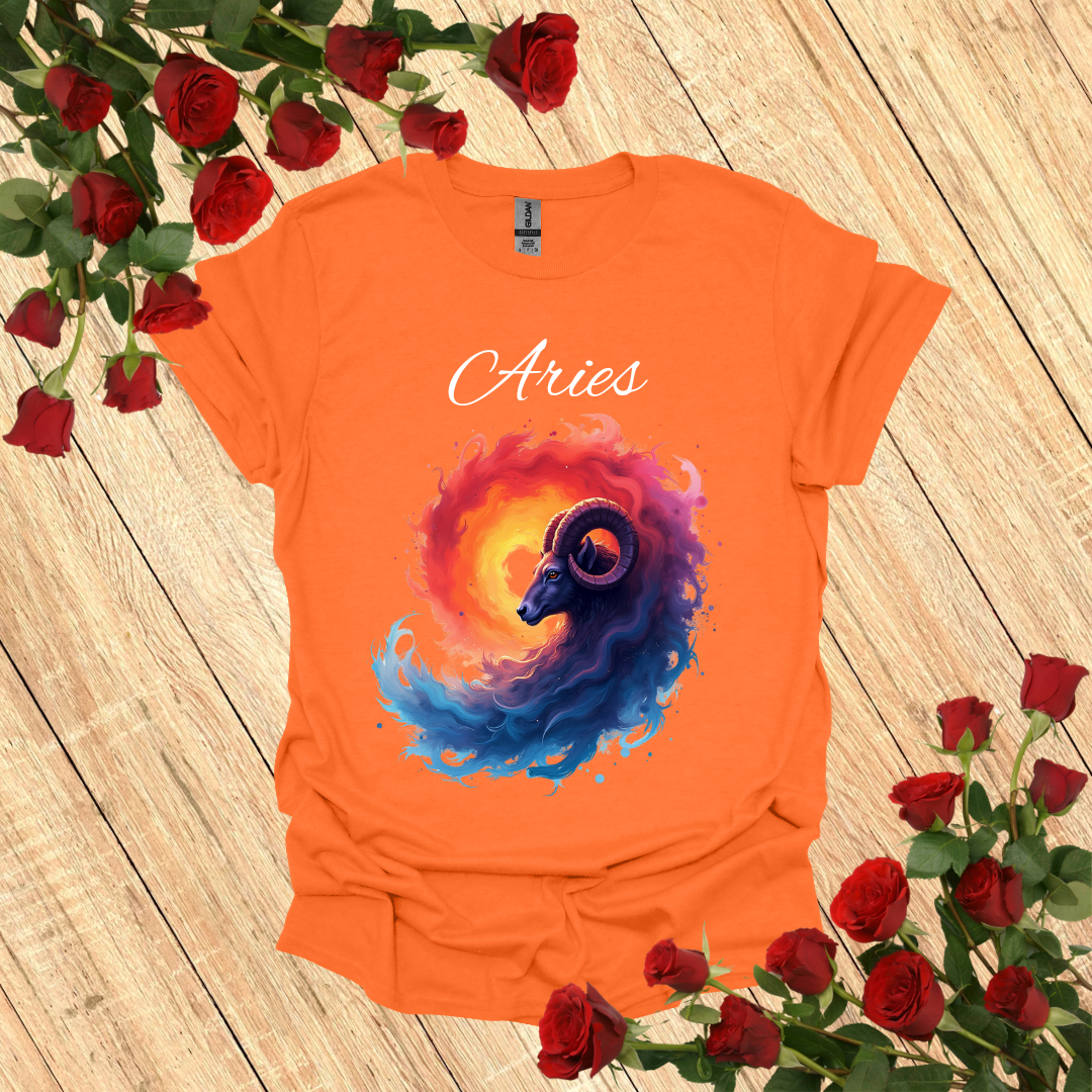 Aries Vortex T-Shirt