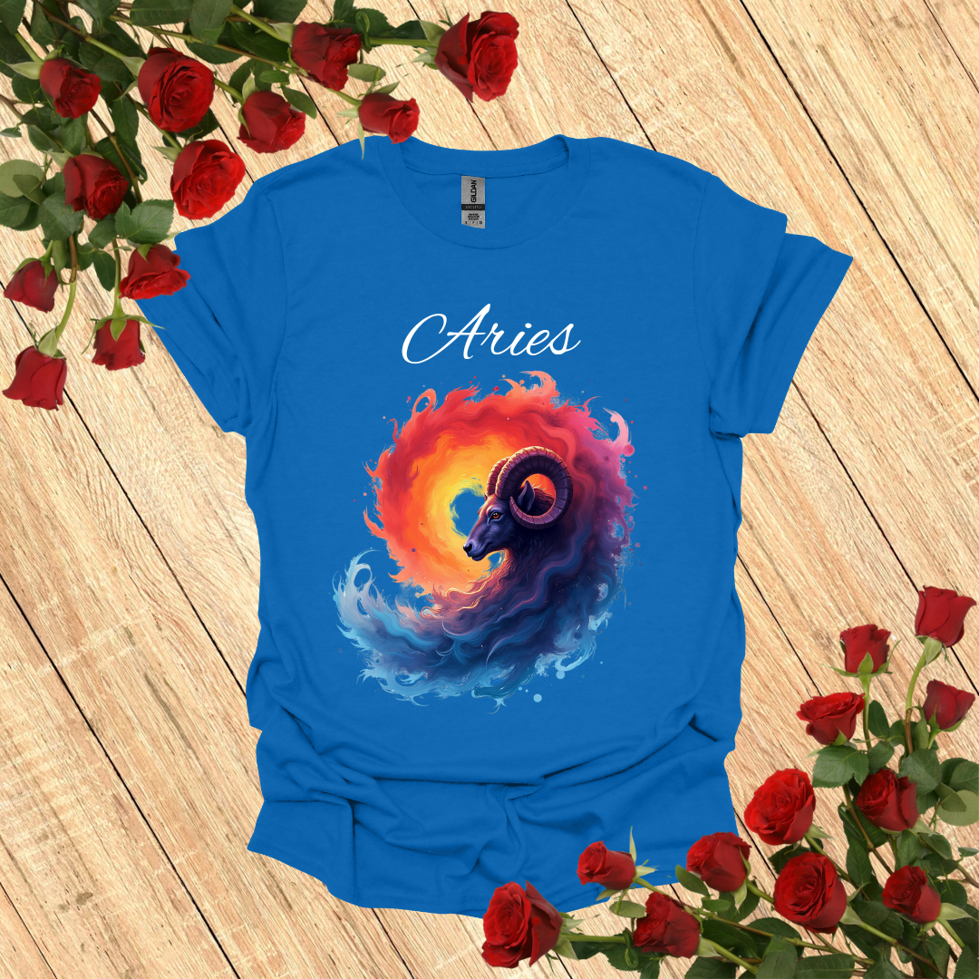 Aries Vortex T-Shirt