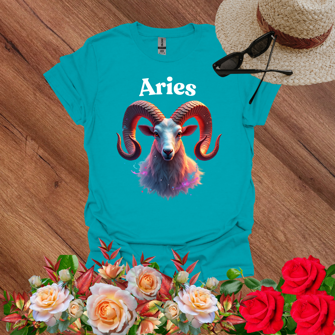 Dream Aries T-Shirt