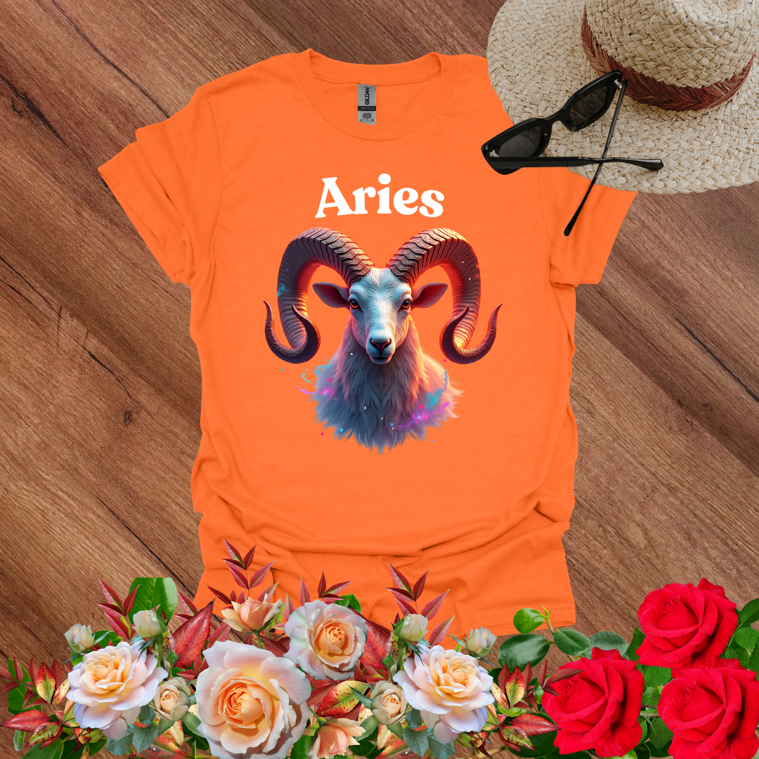 Dream Aries T-Shirt