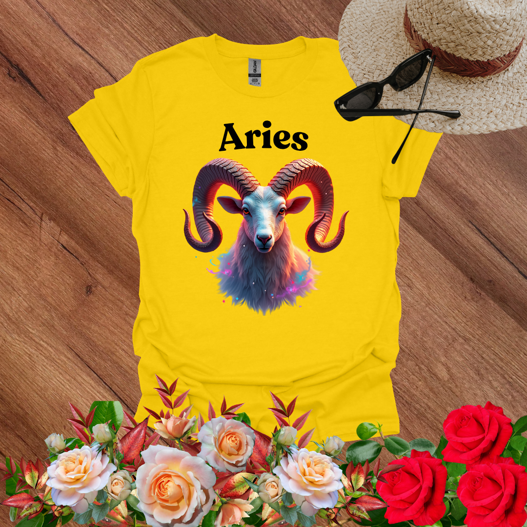 Dream Aries T-Shirt