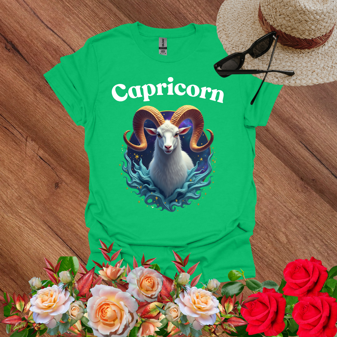 Dream Capricorn T-Shirt