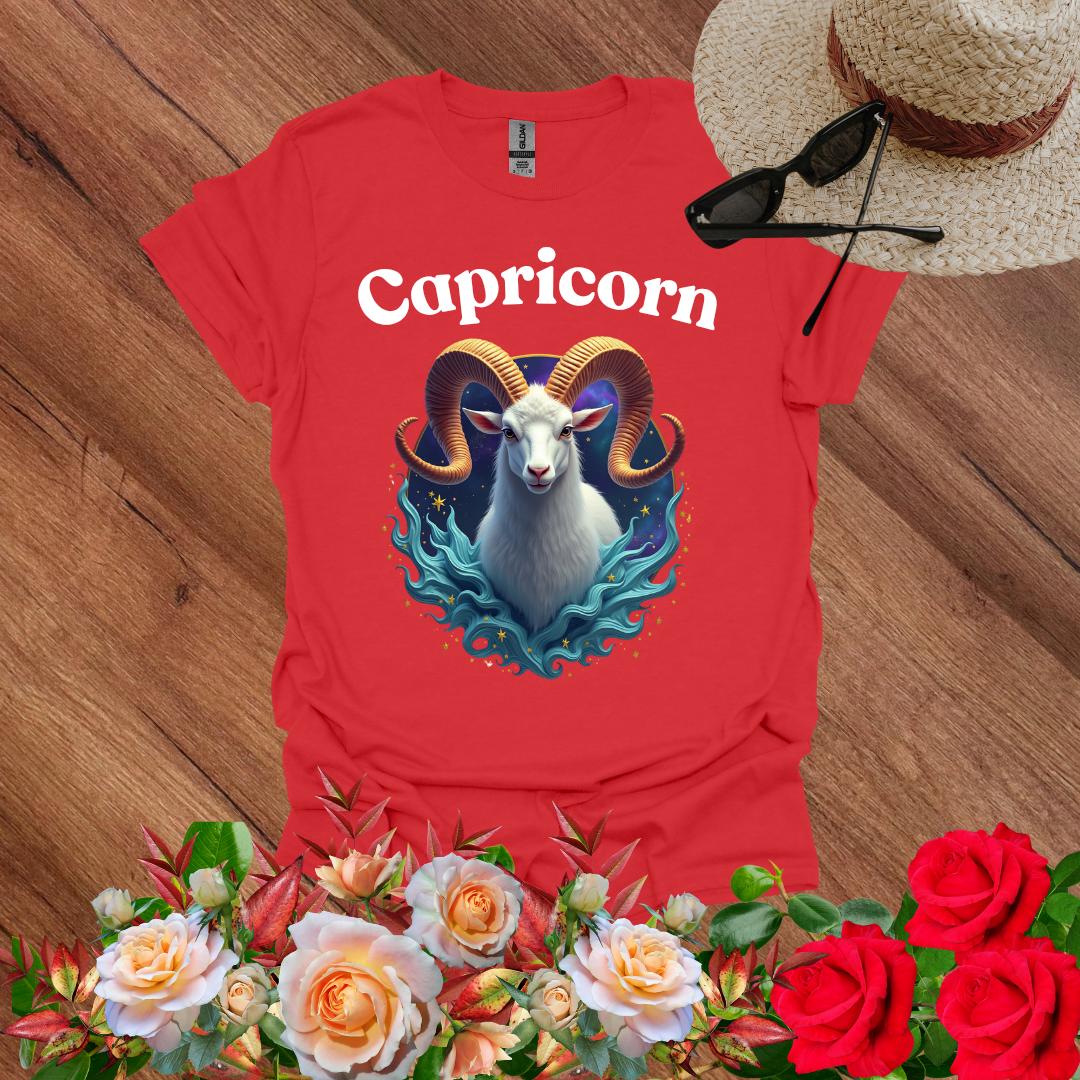 Dream Capricorn T-Shirt