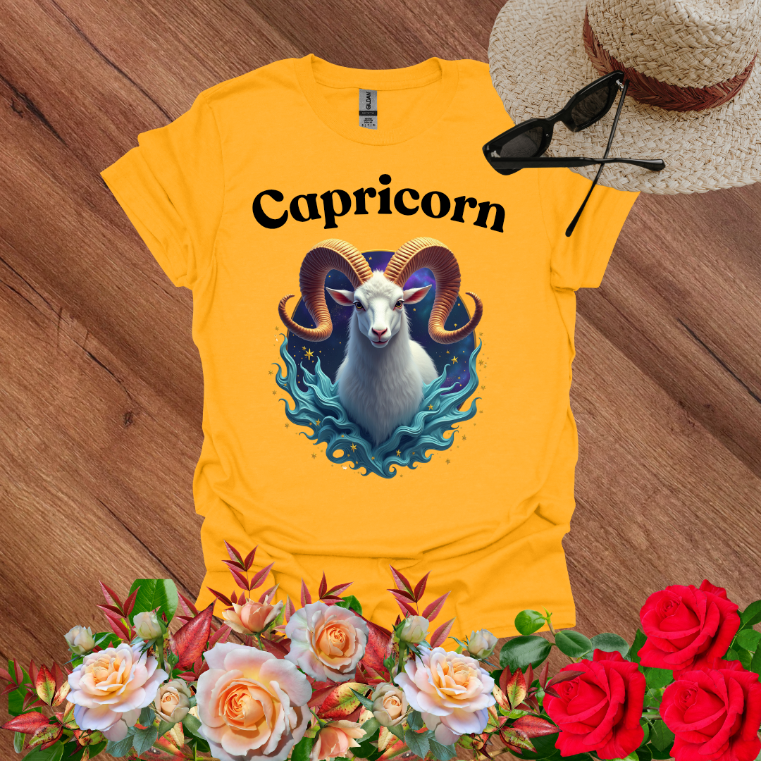 Dream Capricorn T-Shirt